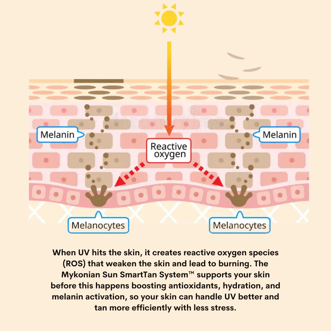 Booster Defense Duo – Tan Accelerator Lotion + Sun Booster Oil