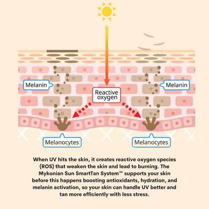 Booster Defense Duo – Tan Accelerator Lotion + Sun Booster Oil